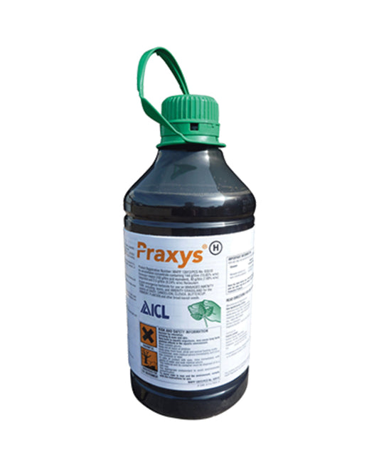 ICL Praxys 2L